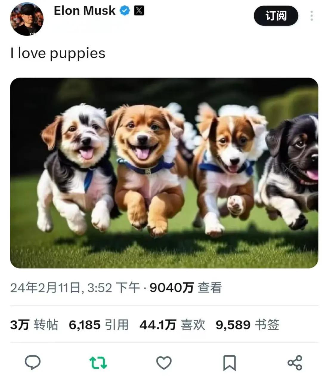狗狗币官宣与290携手，开启元宇宙新纪元！的简单介绍-九游体育