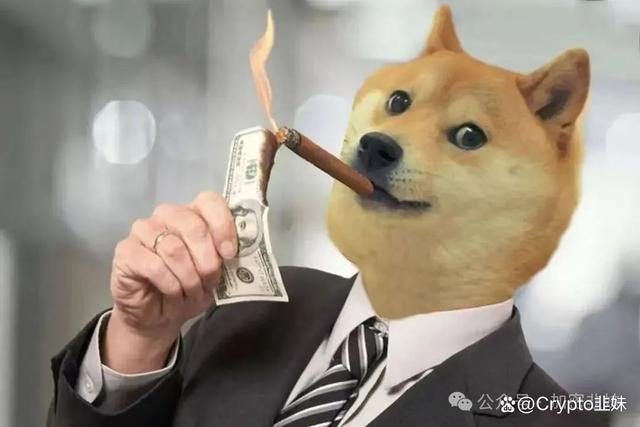 专家称狗狗币将在年底冲破31.96美元，引发引发关注-九游体育
